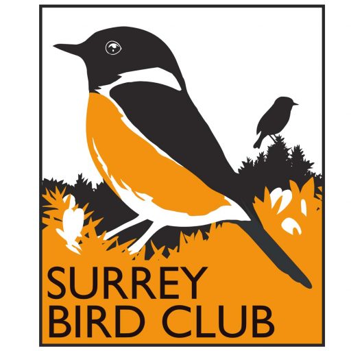 Committee - Surrey Bird Club