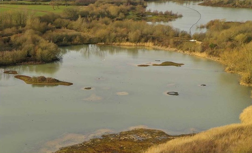 Nutfield Marshes (Photo: Screengrab from Surrey Wildlife Trust)