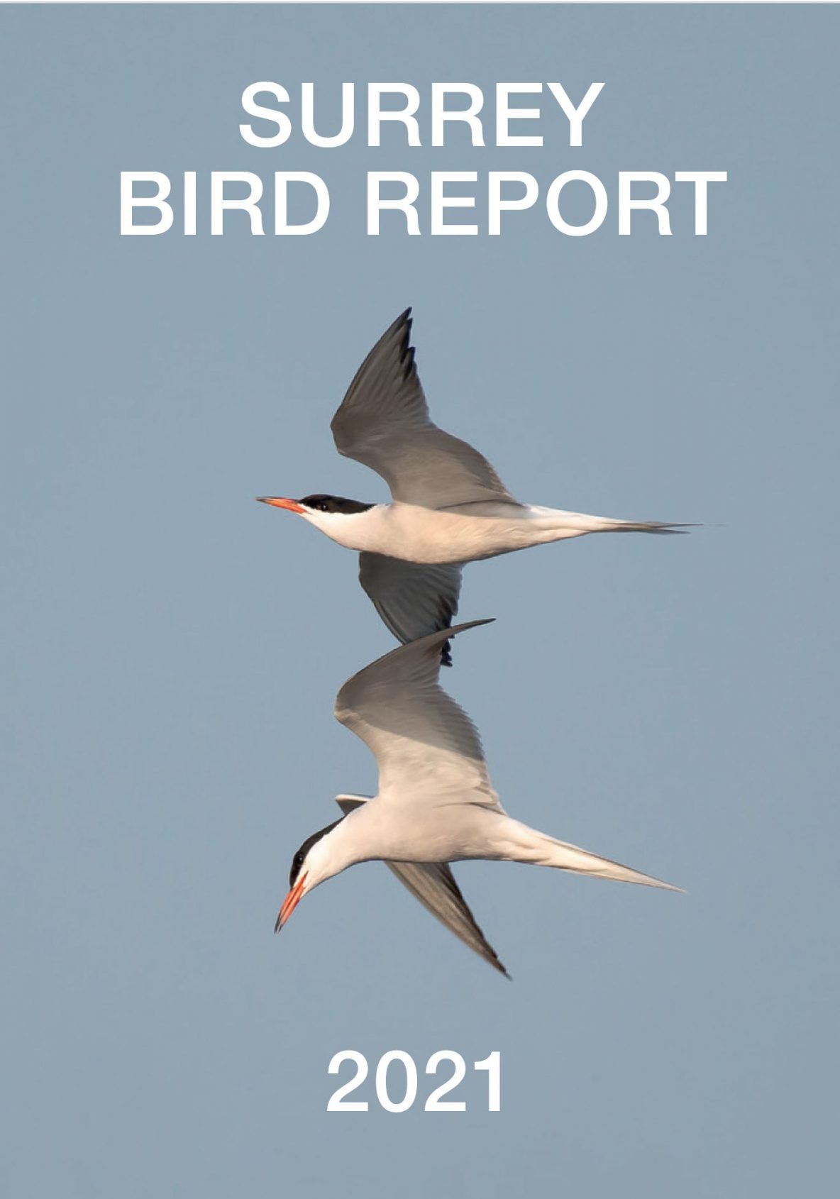 Surrey Bird Report 2021