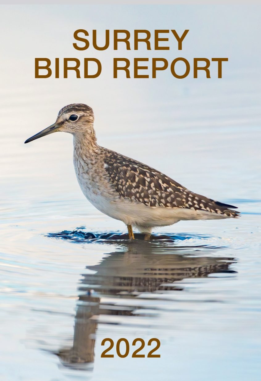 Surrey Bird Report 2022 cover