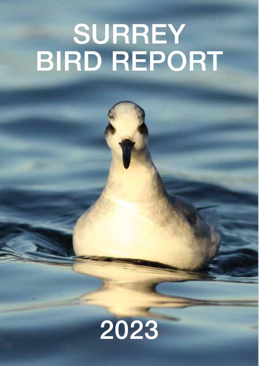 Surrey Bird Report 2023